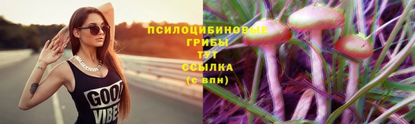 МДПВ Переславль-Залесский